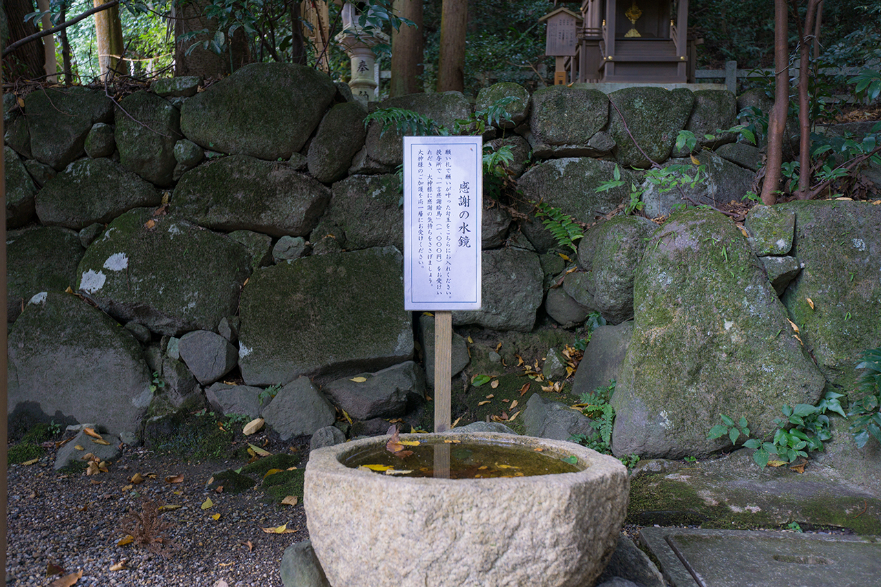 枚岡神社 感謝の水鏡