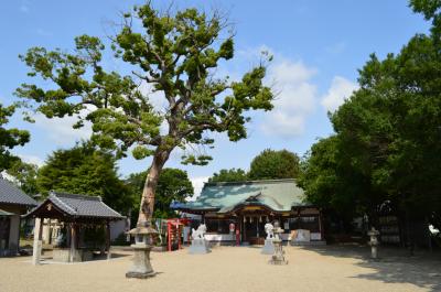 矢作神社 拝殿と御神木