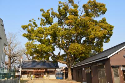 樟本神社 拝殿