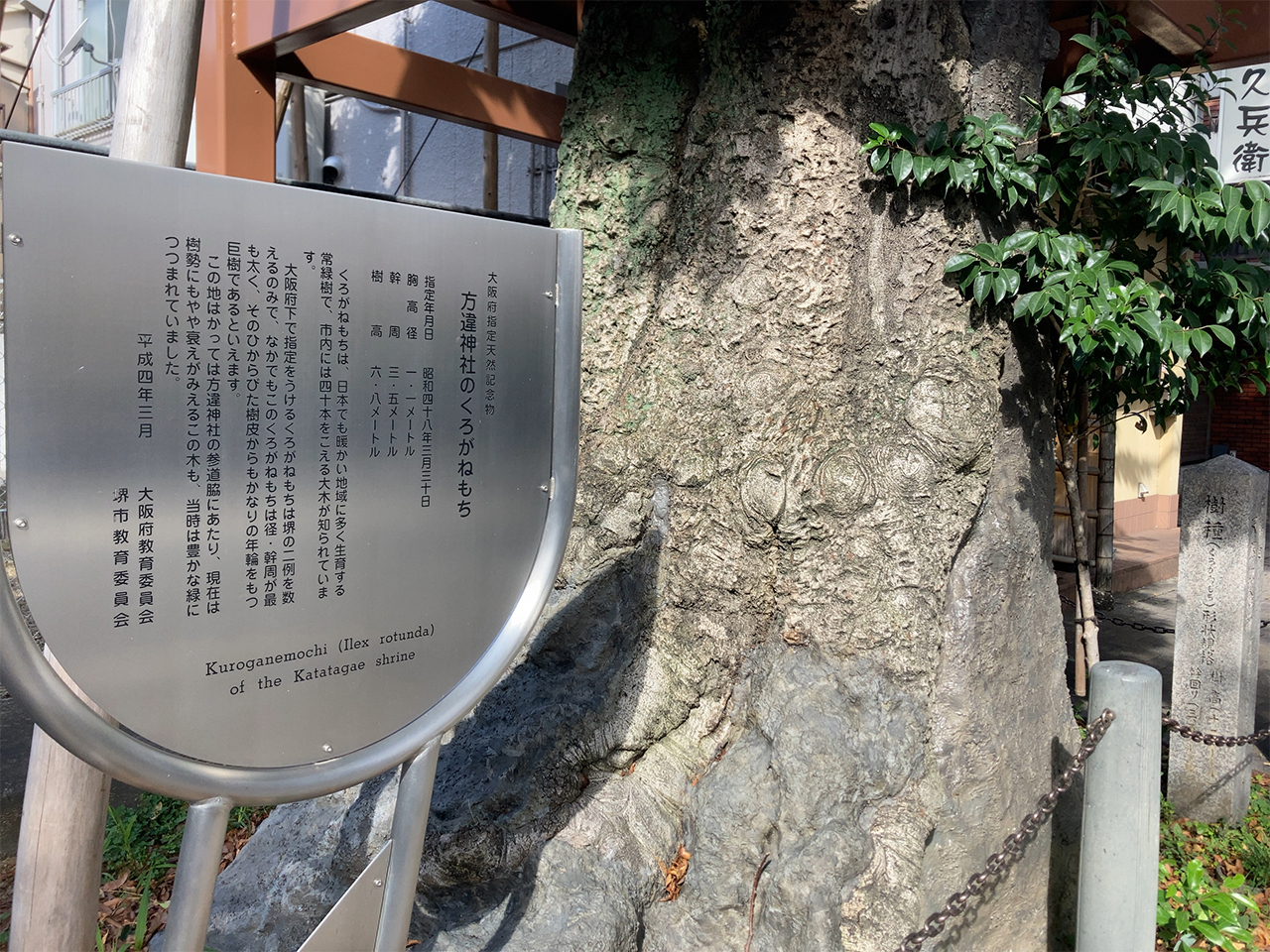 くろがねもちと案内版