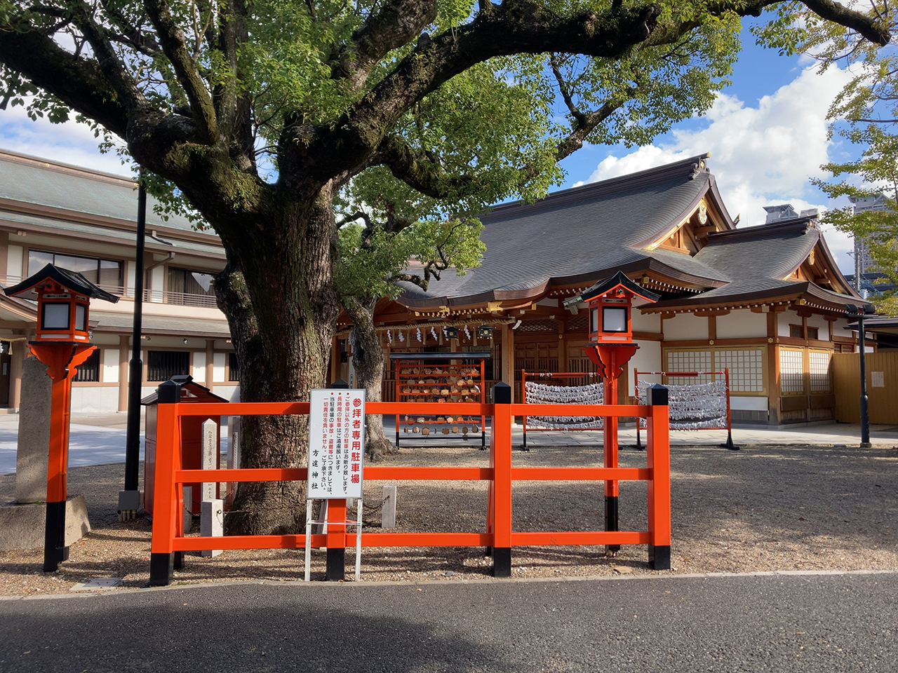 堺市指定保存樹木 くすの木