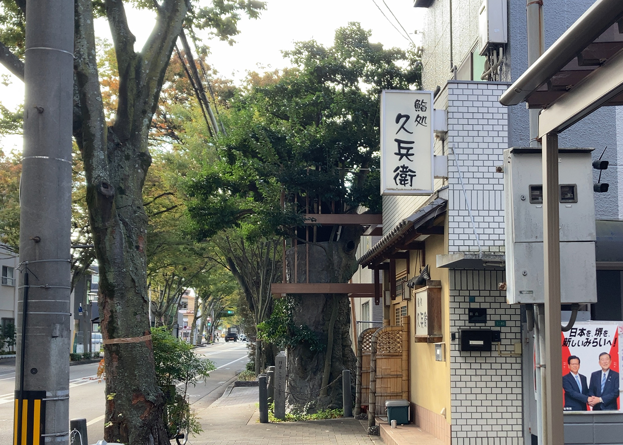 方違神社 くろがねもち 全体 反対側