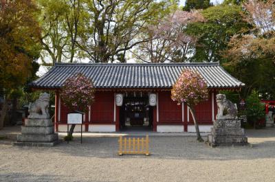 櫻井神社 拝殿