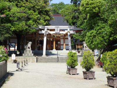 夜疑神社 鳥居と拝殿