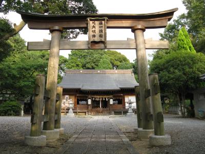 積川神社 拝殿と二の鳥居