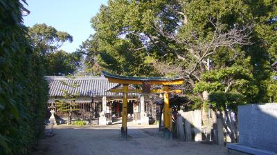市場稲荷神社 鳥居と拝殿