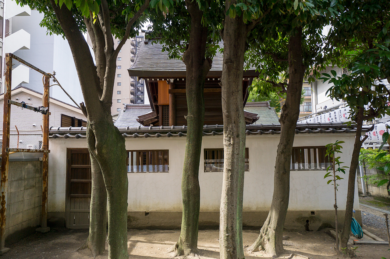 サムハラ神社 本殿 後ろ