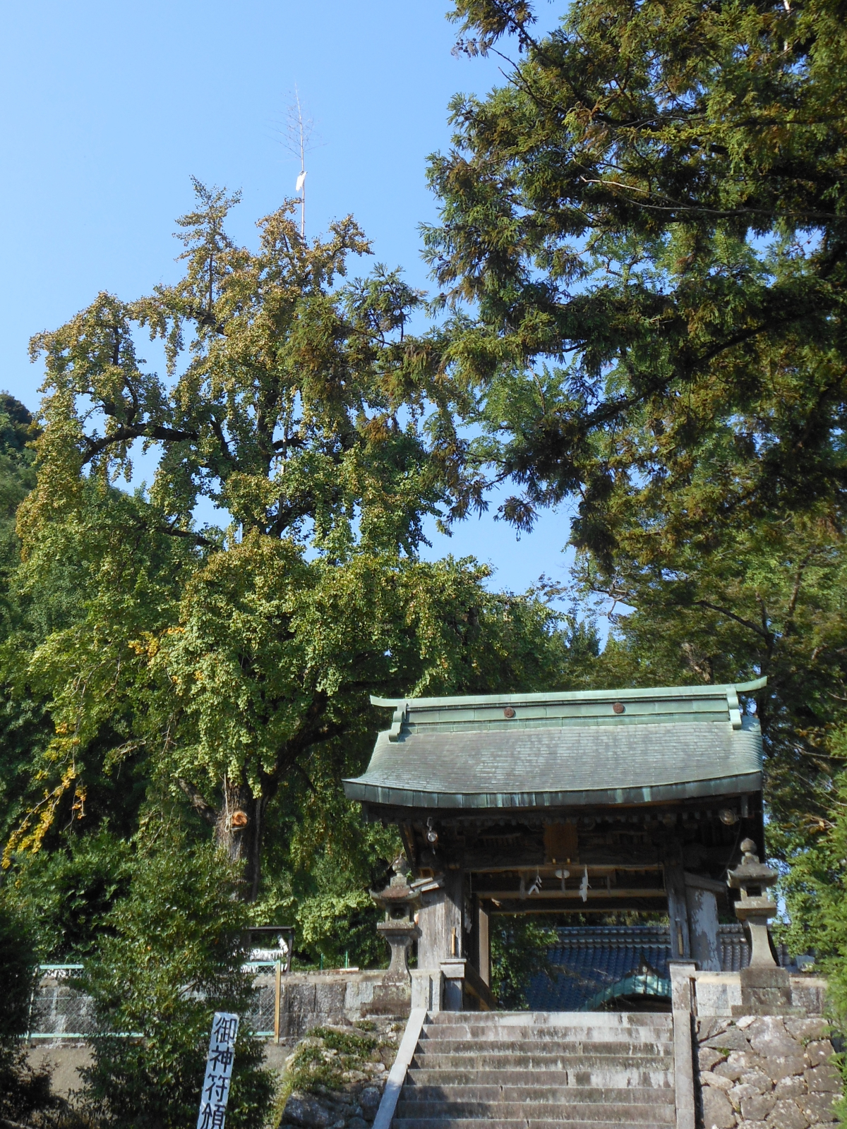 神門と御神木