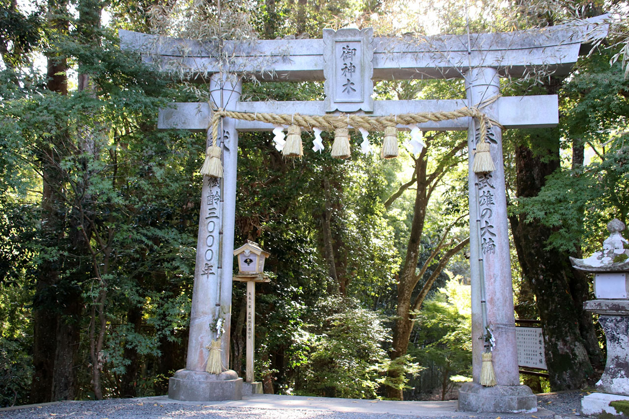 御神木用の鳥居