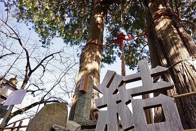 武雄神社 夫婦檜と結オブジェ