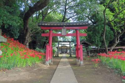馬込第六天神社 参道と鳥居