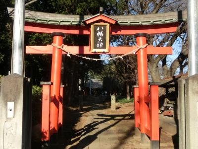 篠岡八幡大神社 鳥居