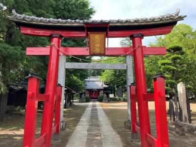氷川神社 鳥居と拝殿