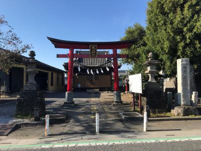 氷川神社 鳥居と拝殿