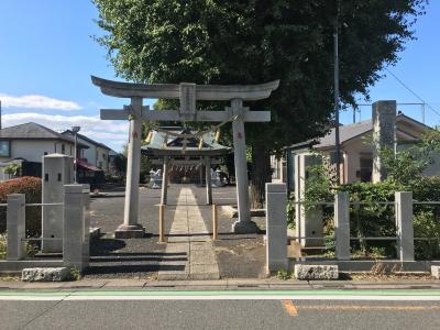 並木氷川神社 鳥居と拝殿