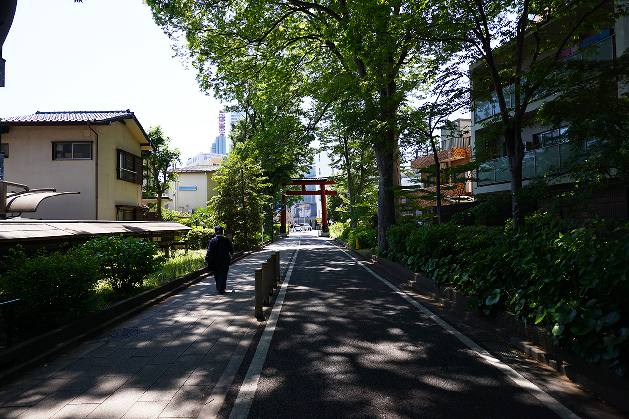 一の鳥居の裏からみた参道