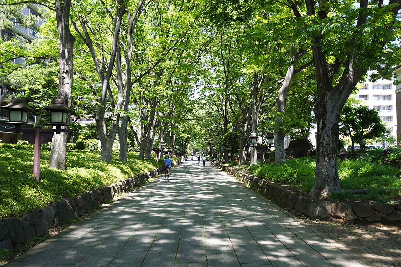 氷川神社表参道