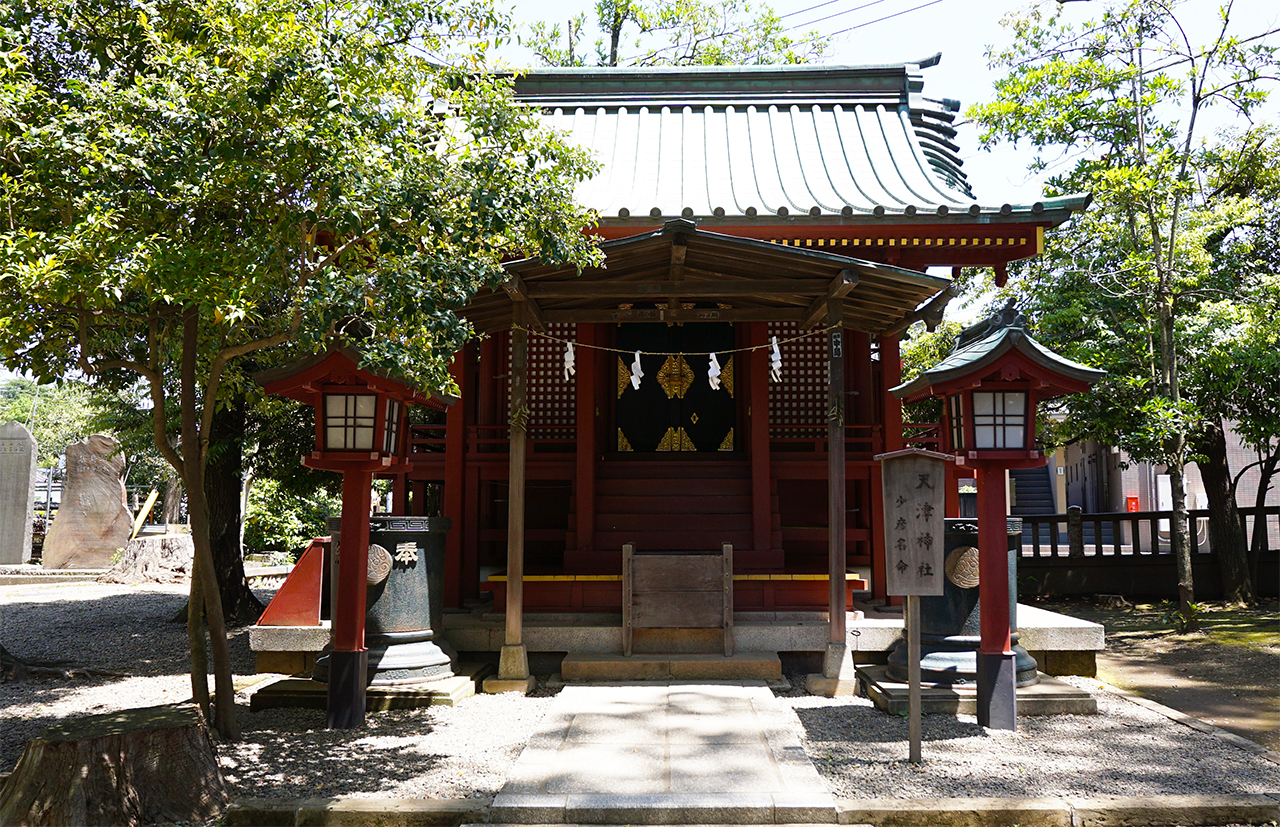 天津神社社殿