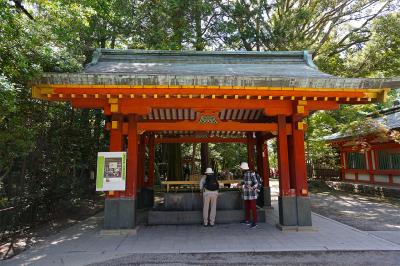 氷川神社 大手水舎