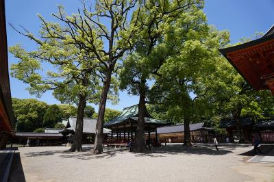 氷川神社 舞殿と拝殿