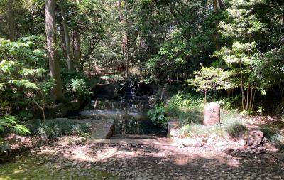 氷川神社 蛇の池全体
