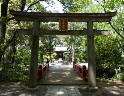 氷川神社 宗像神社の鳥居