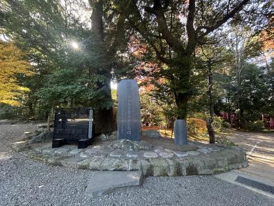 氷川神社 150周年記念碑