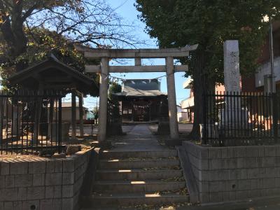 氷川神社 鳥居と拝殿
