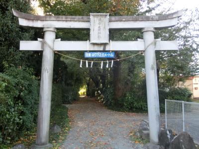 氷川社 鳥居