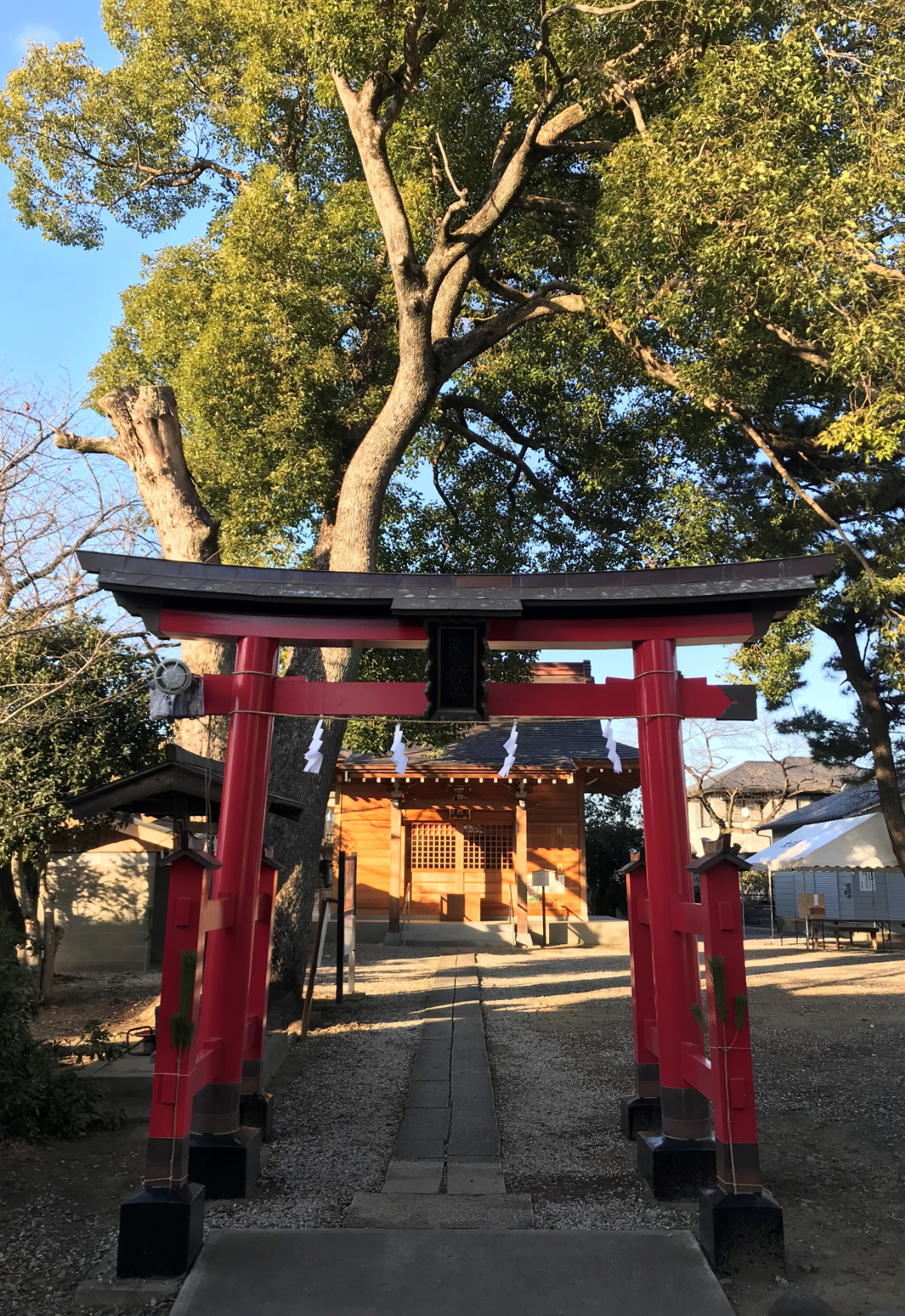 鳥居と拝殿