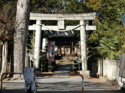 内谷氷川社 鳥居と拝殿