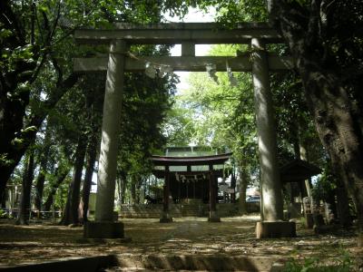 太田窪氷川神社 鳥居と拝殿