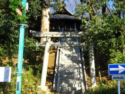 睦神社 鳥居と拝殿