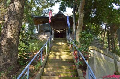 前玉神社 参道と拝殿