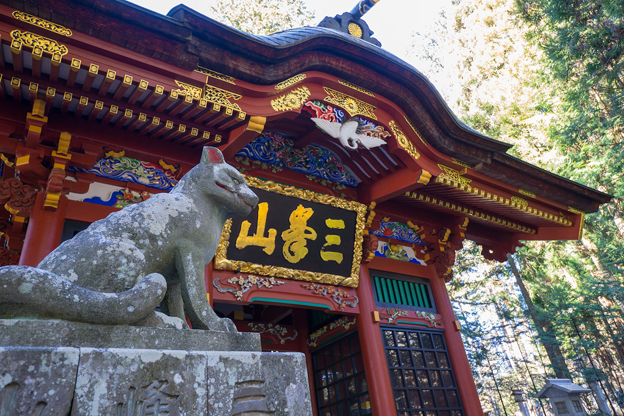 オオカミ像と随身門の彫刻