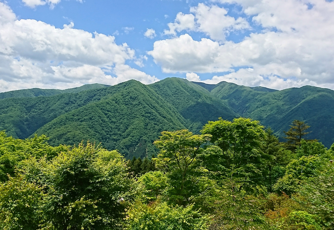 山頂から見える景色