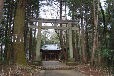 金子神社 鳥居と拝殿