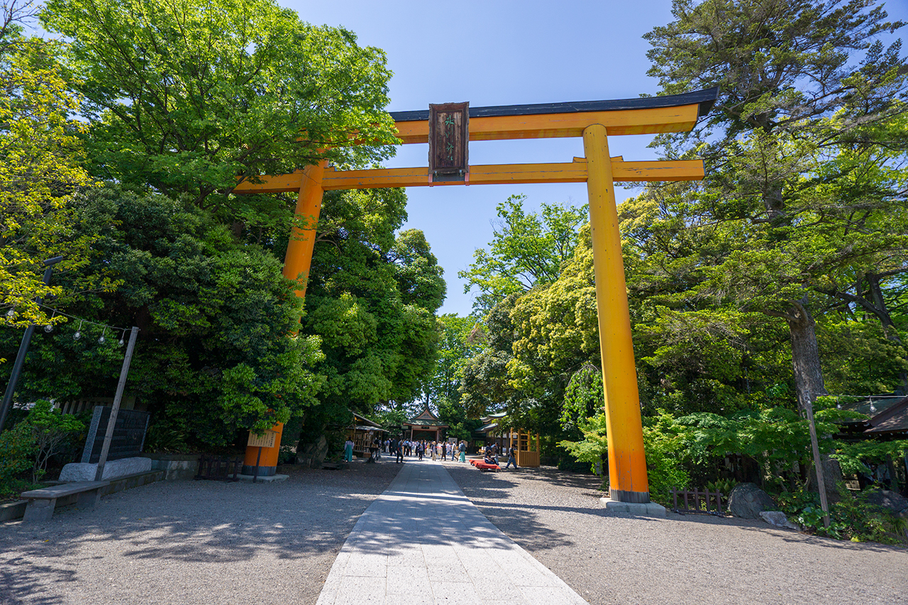 川越氷川神社 大鳥居