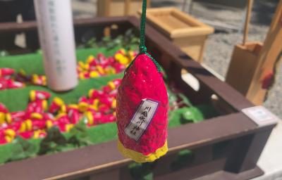 川越氷川神社 採取した芋みくじ