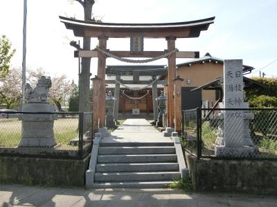 日枝神社 鳥居と拝殿