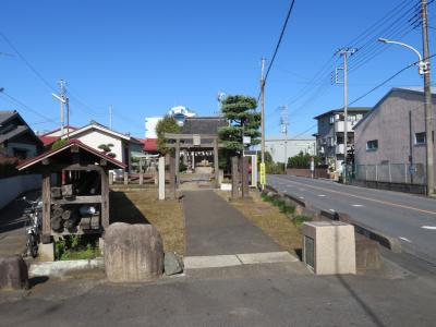 氷川神社 鳥居と拝殿