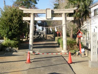 氷川神社 鳥居