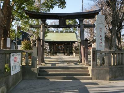 氷川神社 鳥居と拝殿