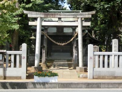 氷川社 鳥居と拝殿