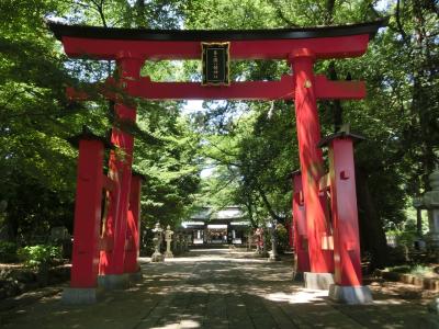 峯ヶ岡八幡神社 鳥居