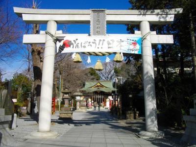 氷川神社 鳥居と拝殿