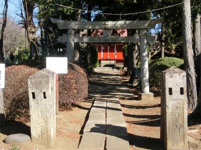 氷川神社 鳥居