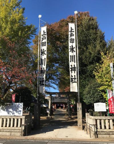 氷川神社 鳥居と拝殿