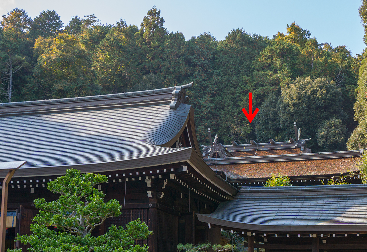 近江神宮 本殿