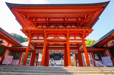近江神宮 近江神宮 見上げた楼門